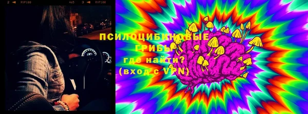 бошки Алзамай