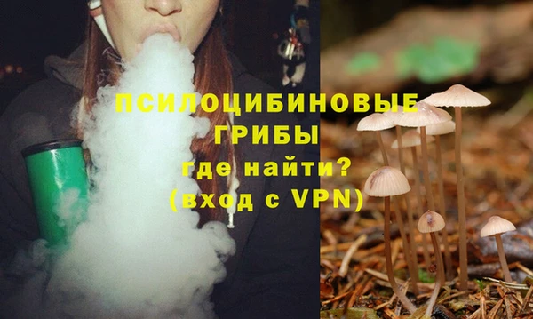 бошки Алзамай