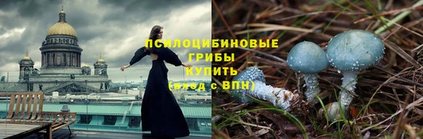 винт Алексеевка